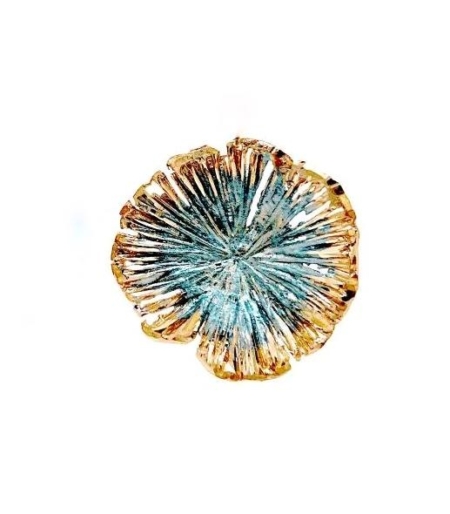 Ένα εκφραστικό statement κομμάτι που συνδυάζει οργανικό σχήμα με μοντέρνα αισθητική, ιδανικό για να απογειώσει κάθε εμφάνιση — καθημερινή ή βραδινή.